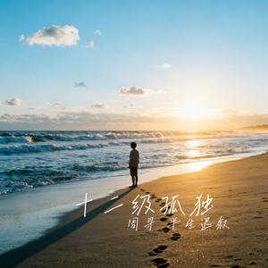 十二级孤独
