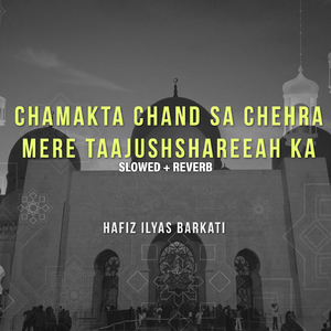 Chamakta Chand Sa Chehra Mere Taajushshareeah Ka (Lofi-Mix)