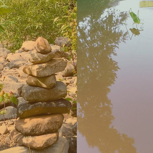 ...on and off the Sidewalk...