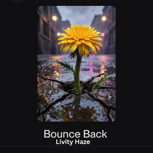 Bounce Back