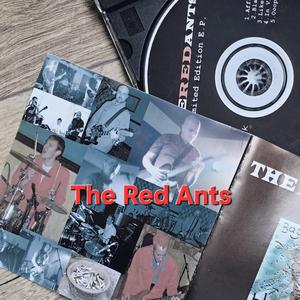 Bland (Red Ant Version)