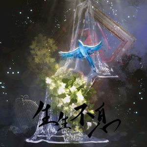 生生不息——宋声声印象曲翻唱