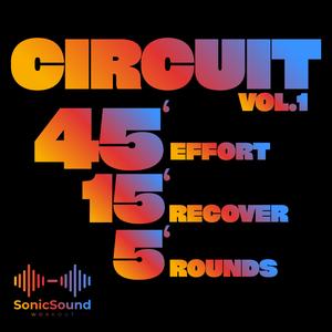 CIRCUIT 4 PULL/BACK 45/15 5 ROUNDS
