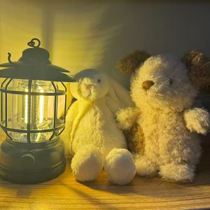 《老羊与小兔》