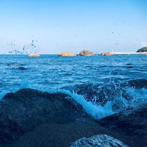 像鱼（Cover:王贰浪）