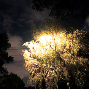 You're Fine Everything Is Alright