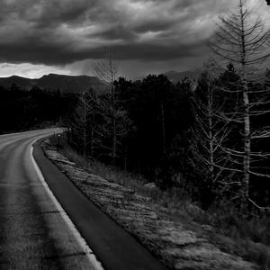 Season For Believing