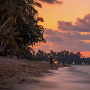 总有一天你会出现在我身边