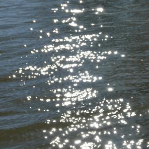 到头来只能感叹一句你真恶心