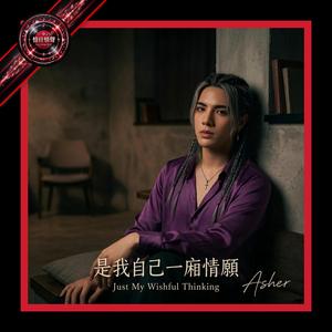 是我自己一廂情願