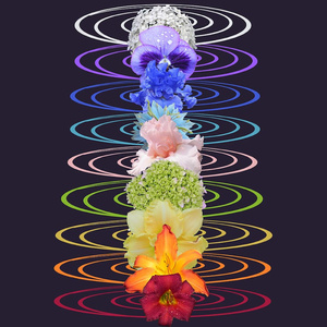 285 Hz (Immune Enhancement)