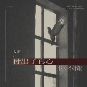 付出了真心你不懂