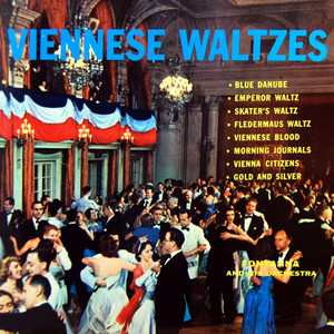 Fledermaus Waltz