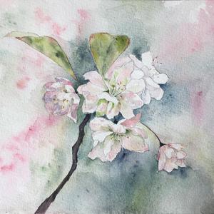 心上月(剧场版) cover：乐小桃