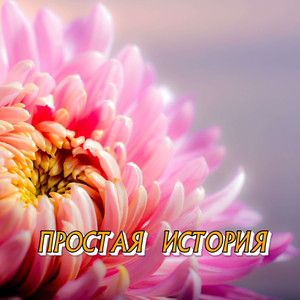 ПРОСТАЯ ИСТОРИЯ
