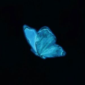 樱花落又绽-rain（樱花落又绽 remix）