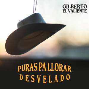 Desvelado