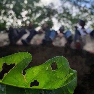 Gana (feat. Snoopy DeVille, GeonOTR & ShawnOTR)