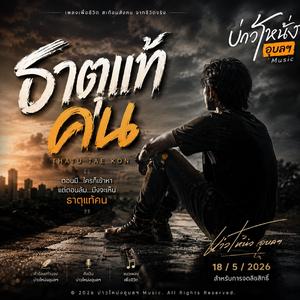 ธาตุแท้คน (Official Audio )