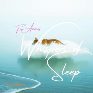 星の下で寄り添うまなざし