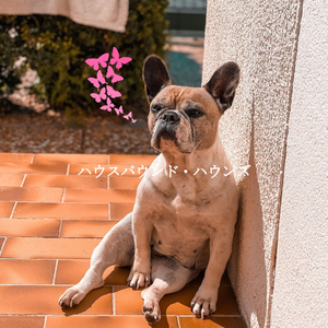 Warm Ambiance for A Peaceful Gaze