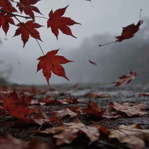 秋风（钢琴三重奏）