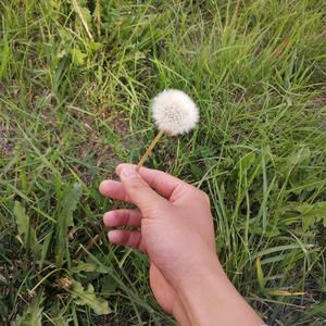 莫文蔚《爱》_Hush