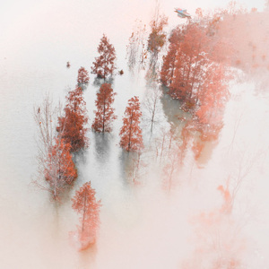 一个人与孤单同行