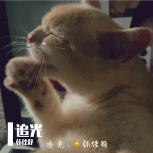 追光