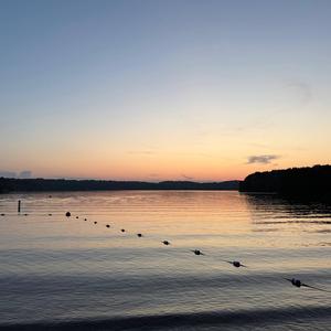 Don't Let Me Go (Revised) (feat. everestdidthis)