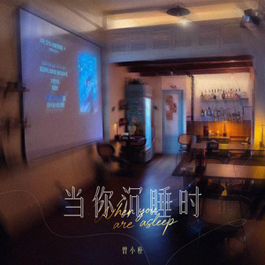 当你沉睡时