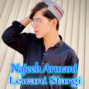 Lewani Stargi