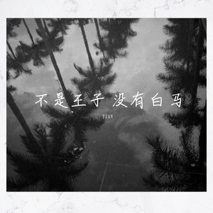 不是王子 没有白马