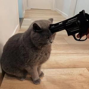 红山果（DJ版）