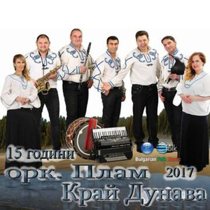 11 Сиви гълъби