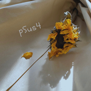 ความสวยงามที่ไม่มีใครเข้าใจ