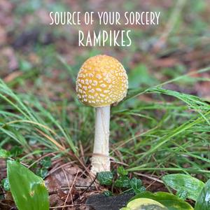 Source of Your Sorcery