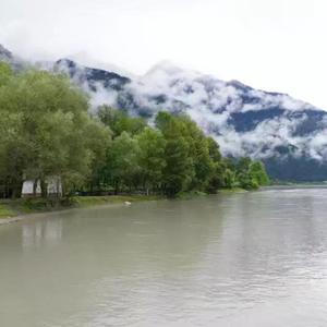 妈妈你可曾看见我的身影