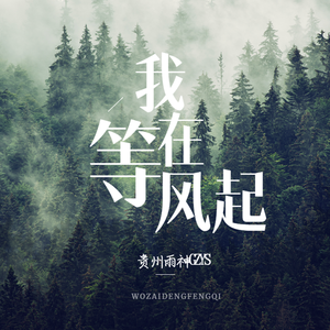 我在等风起