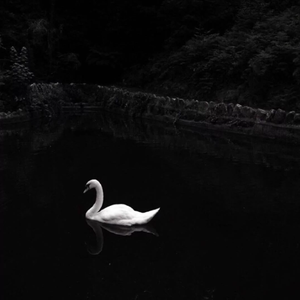 He introduced himself and said a lot