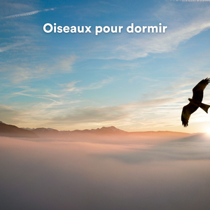 Les faisans dorés qui s'envolent rapidement (Sons d'oiseaux pour relaxation)