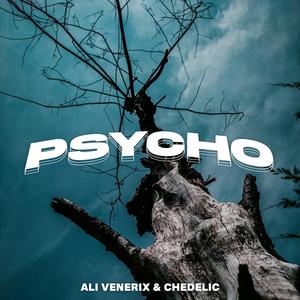Psycho (feat. Chedelic)