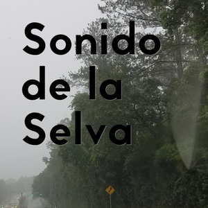 Sonidos de la Selva