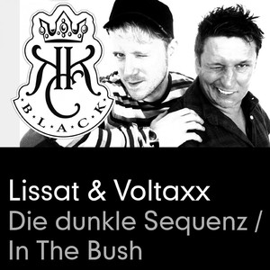 In the Bush (Lissat & Voltaxx Croco Mix)