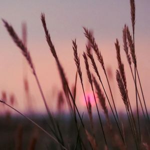 多远都要在一起 (烟嗓版)