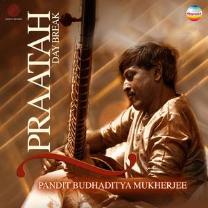 Raga Basant Mukhari (Gat in Vilambit Teental)
