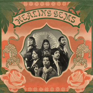 Shopping with Harambe (Stealing from Fresh & Easy)