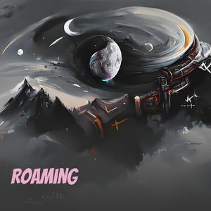 Roaming