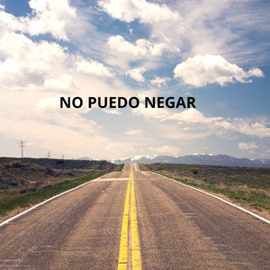 NO PUEDO NEGAR