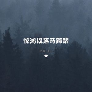 惊鸿以落马蹄踏